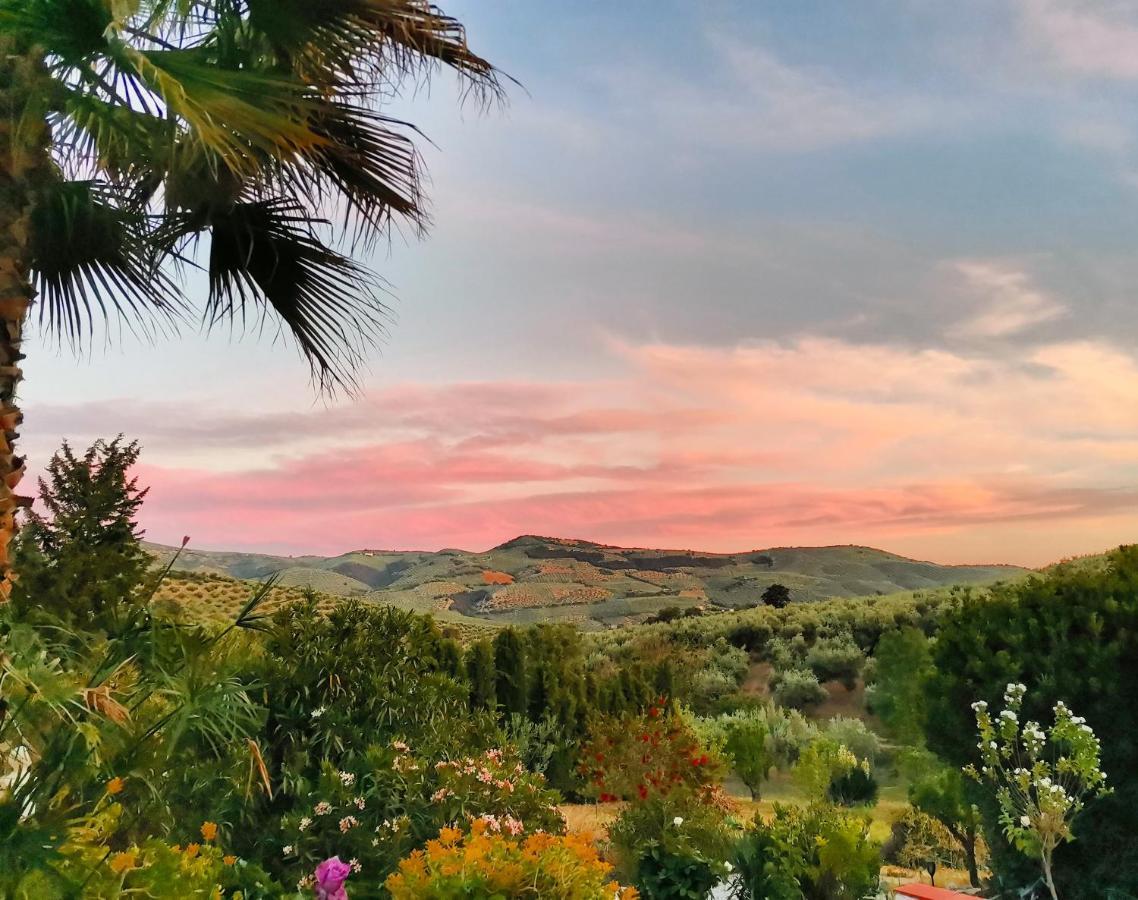Cortijo Pennymaria Poolside Apartment Near Montefrio With Stunning Views Exterior foto
